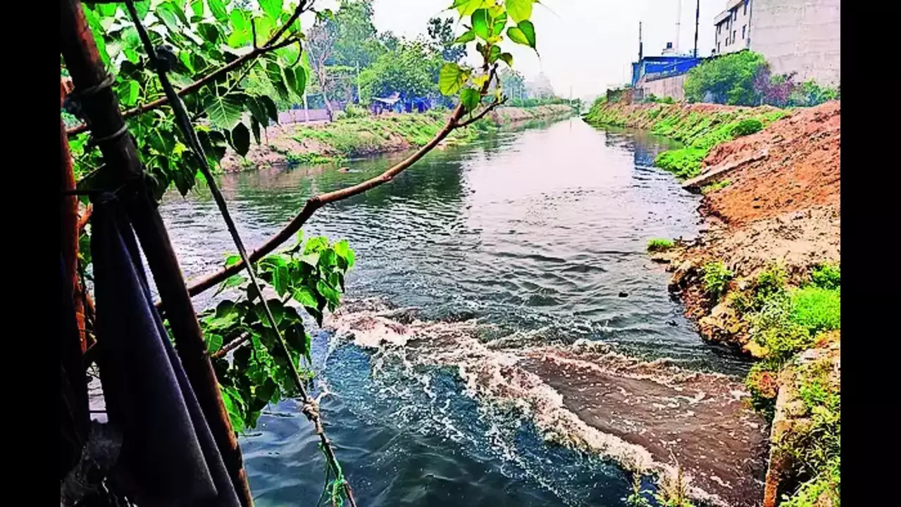 STEPS TAKEN FOR NIRANJANA RIVER REJUVENATION