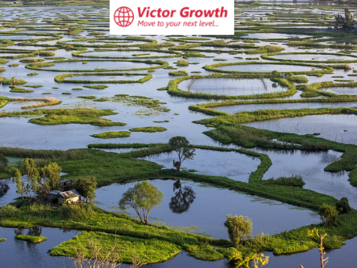 India Adds 4 New Ramsar Sites