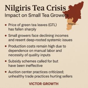 Nilgiris Tea Crisis