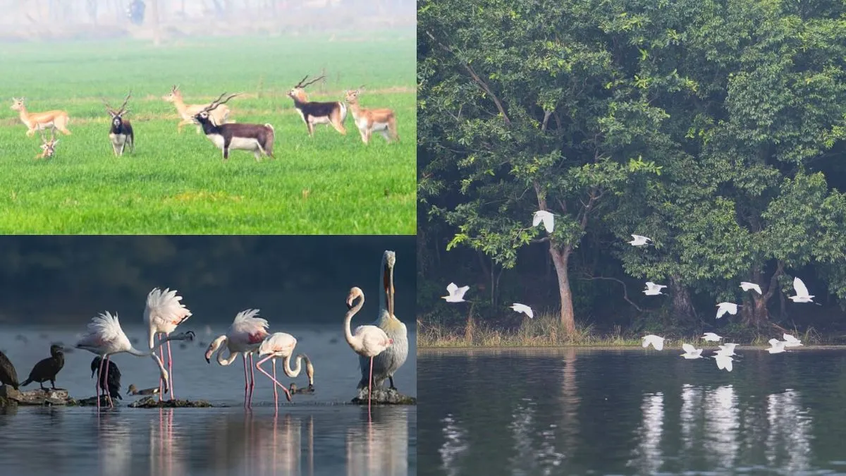 New Ramsar Sites in India (2025) – Bihar’s Gokul Jalashaya & Udaipur Jheel