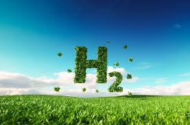 Unlocking India’s Green Hydrogen Production Potential