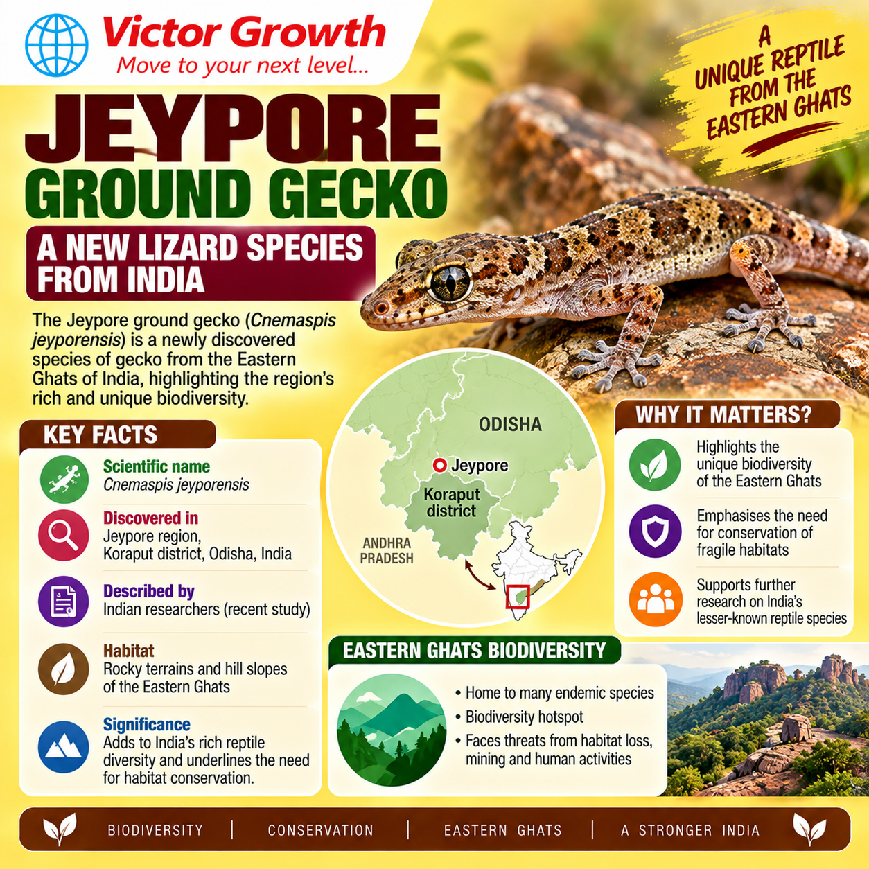 Jeypore Ground Gecko: Habitat, Conservation and Bauxite Mining Threat – UPSC Current Affairs